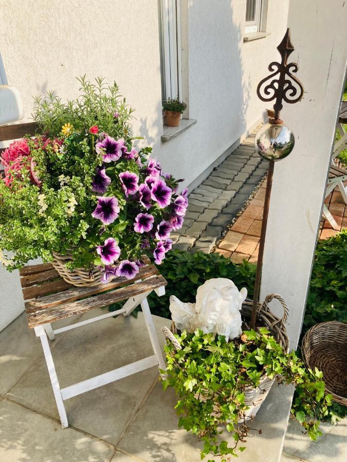 Das Ferienhaus-Zurueck Zum Ursprung Güssing Exterior foto